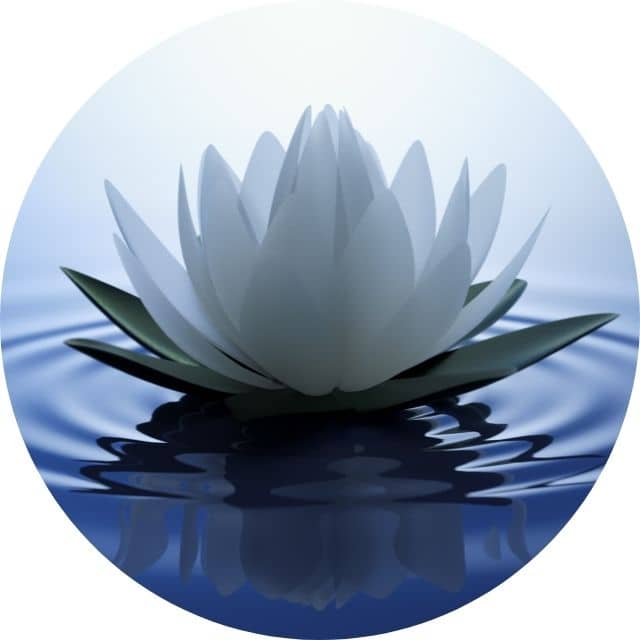 fleur de lotus symbolisant la bienveillande de Caroline Henry Coach de vie, psy Bilan de compétences et parentalité à Aix-en-Provence