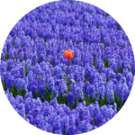 Bilan de compétences CPF à Aix-en-Provence - Un coaching humain et personnalisé pour révéler votre potentiel