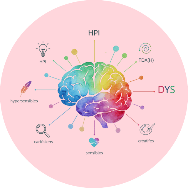 Illustration d'un cerveau coloré représentant la neurodiversité : HPI, TDAH, DYS et hypersensibilité. Accompagnement adapté aux profils atypiques par Caroline Henry