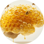 Symbole de la trajectoire de vie : un cerveau structuré en ruche où les abeilles apportent clarté et mouvement, approche Être Simplement
