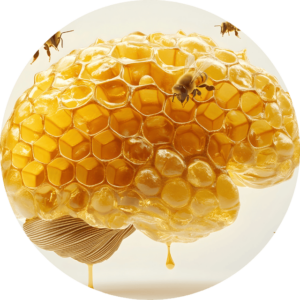 Symbole de la trajectoire de vie : un cerveau structuré en ruche où les abeilles apportent clarté et mouvement, approche Être Simplement
