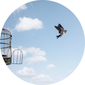 Oiseau quittant sa cage symbolique de la confiance en soi retrouvé avec Caroline Henry