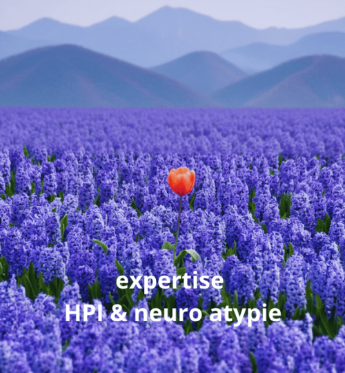 tulipe-champ-lavande-expertise-hpi-reconversion